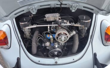 Vw-beetle-1965-blue-10