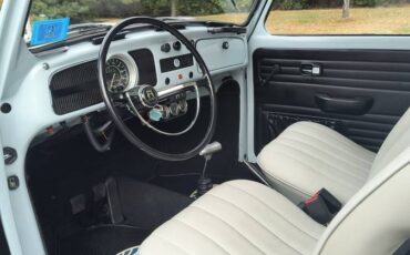 Vw-beetle-1965-blue-4