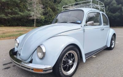 Vw beetle 1965