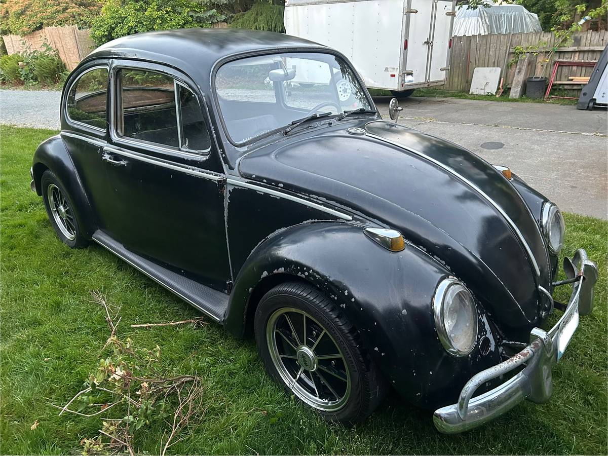 Vw-beetle-1966-1