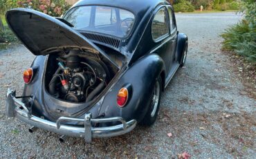 Vw-beetle-1966