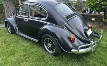 Vw-beetle-1966-5