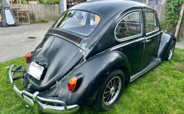 Vw-beetle-1966-6