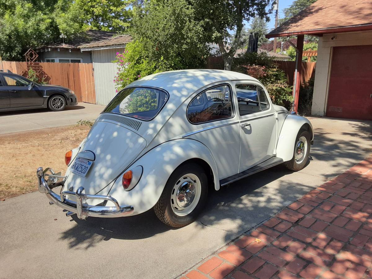 Vw-beetle-1966-white-5