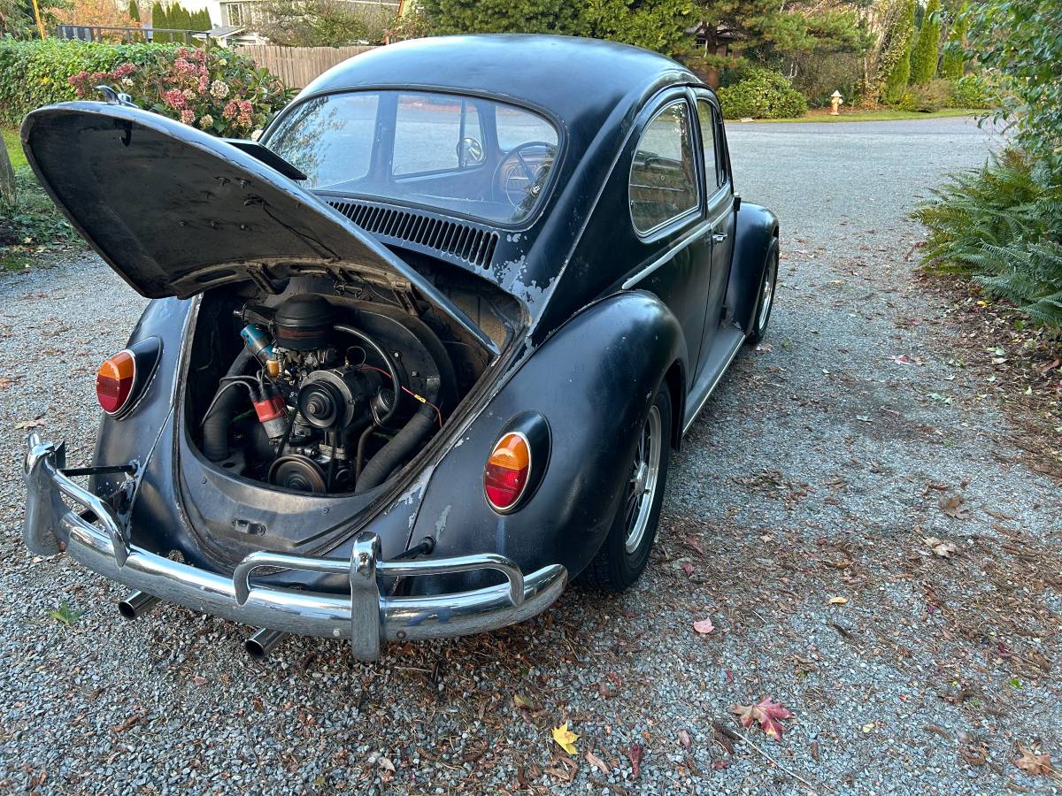 Vw-beetle-1966