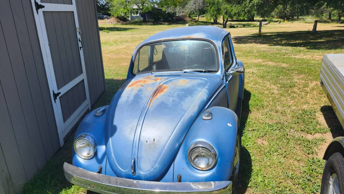 Vw-beetle-1969-blue