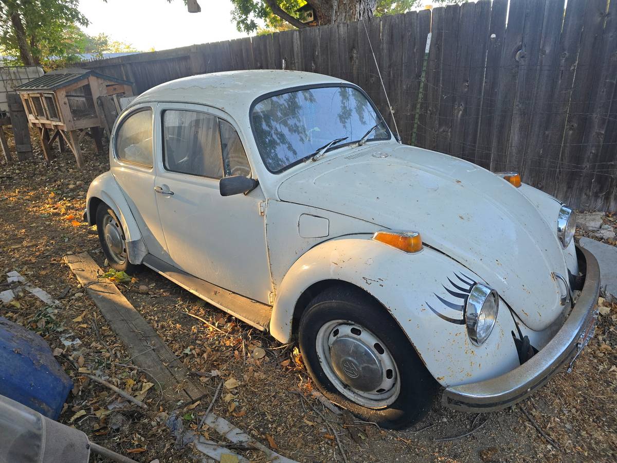 Vw-beetle-1972-white-2
