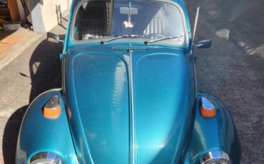 Vw-beetle-1973-green-19