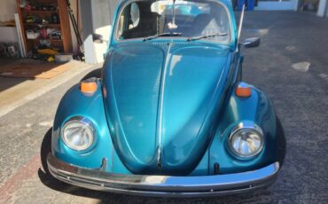 Vw-beetle-1973-green-20
