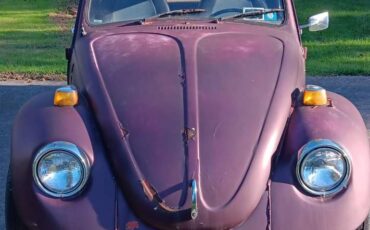 Vw-beetle-1974-3