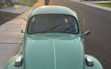Vw-beetle-1975-green-10