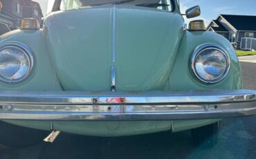 Vw-beetle-1975-green-2