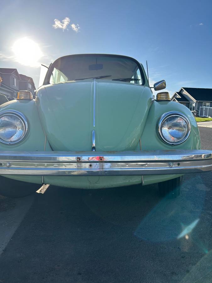 Vw-beetle-1975-green-2