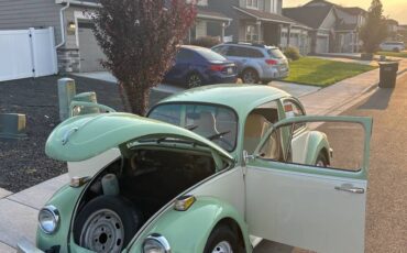 Vw-beetle-1975-green-3