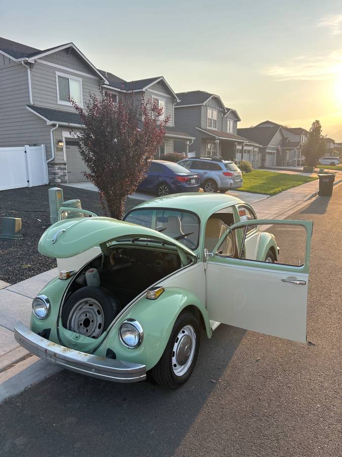 Vw-beetle-1975-green-3