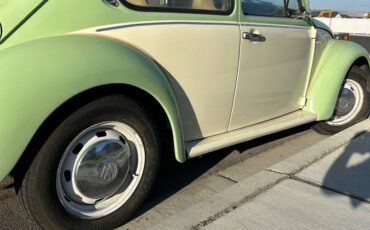 Vw-beetle-1975-green