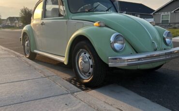 Vw-beetle-1975-green-7