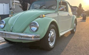 Vw-beetle-1975-green-8