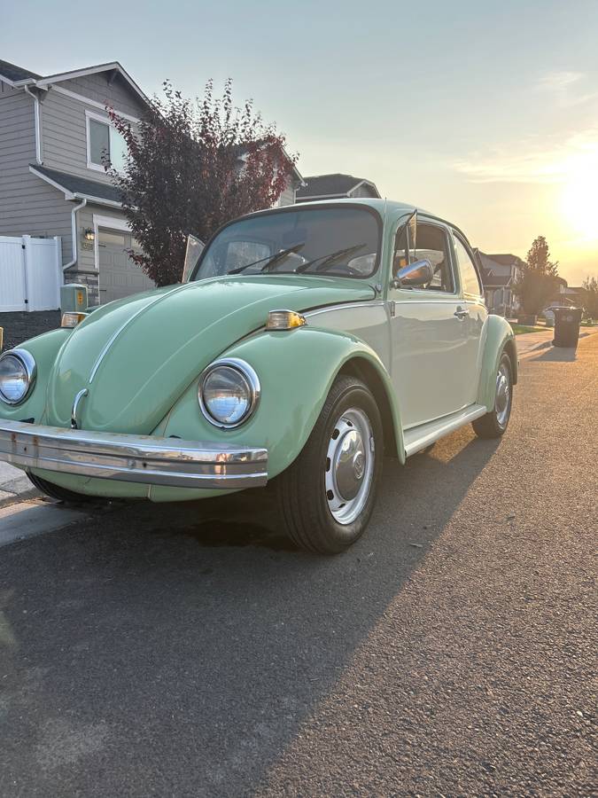 Vw-beetle-1975-green-8