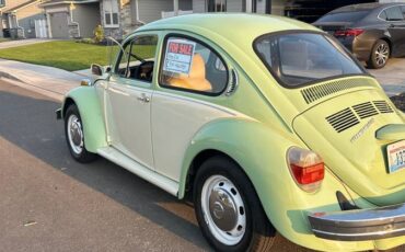 Vw-beetle-1975-green-9