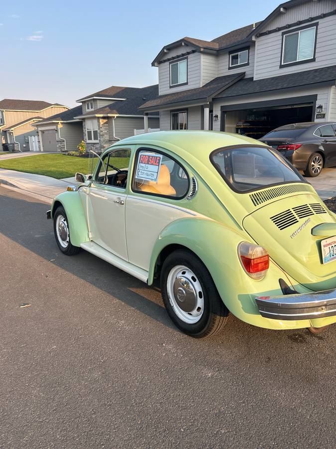 Vw-beetle-1975-green-9