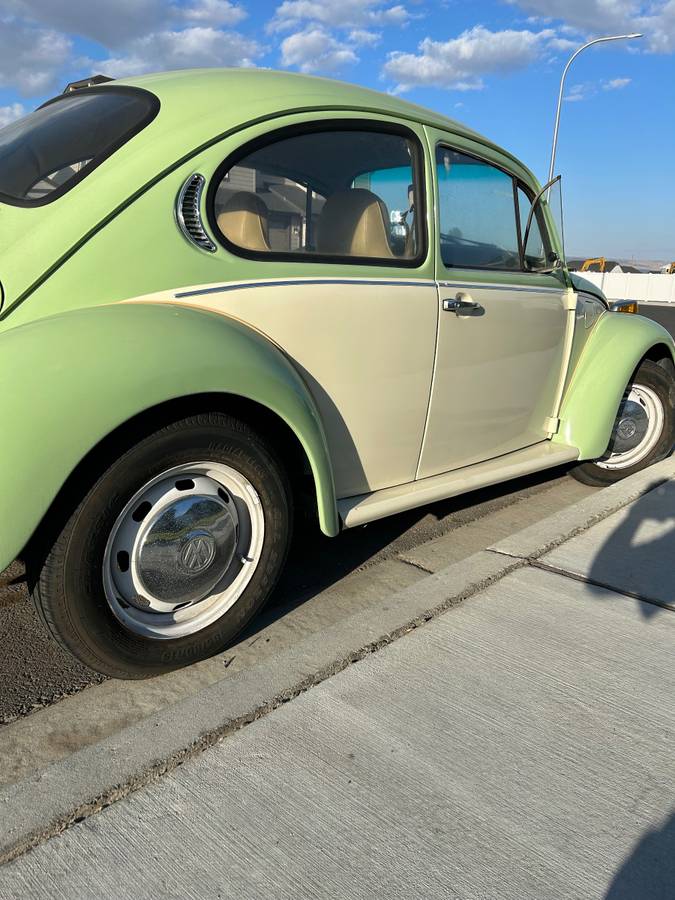 Vw-beetle-1975-green