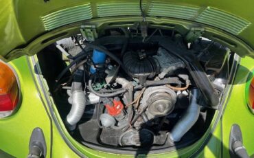Vw-beetle-1976-green-2