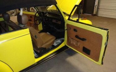 Vw-beetle-1979-yellow-15