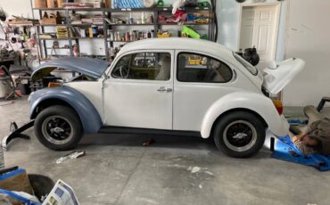 Vw-beetle-bug-1973