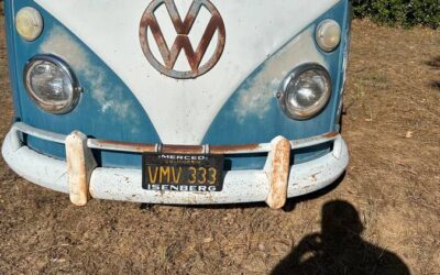 Vw bud 1967