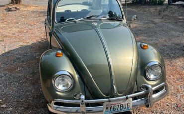 Vw-bug-1967-green-1