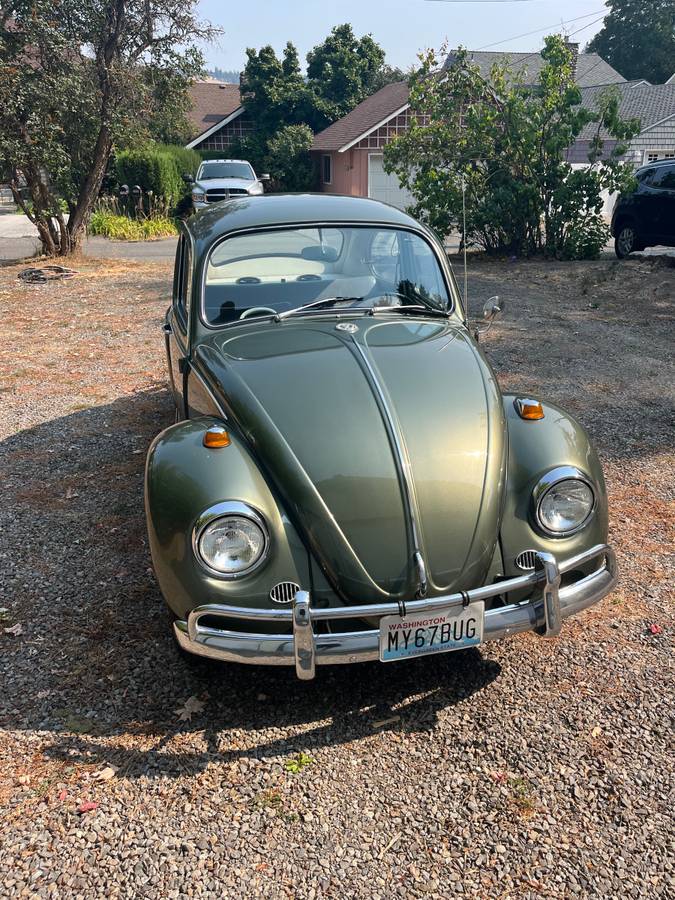 Vw-bug-1967-green-1