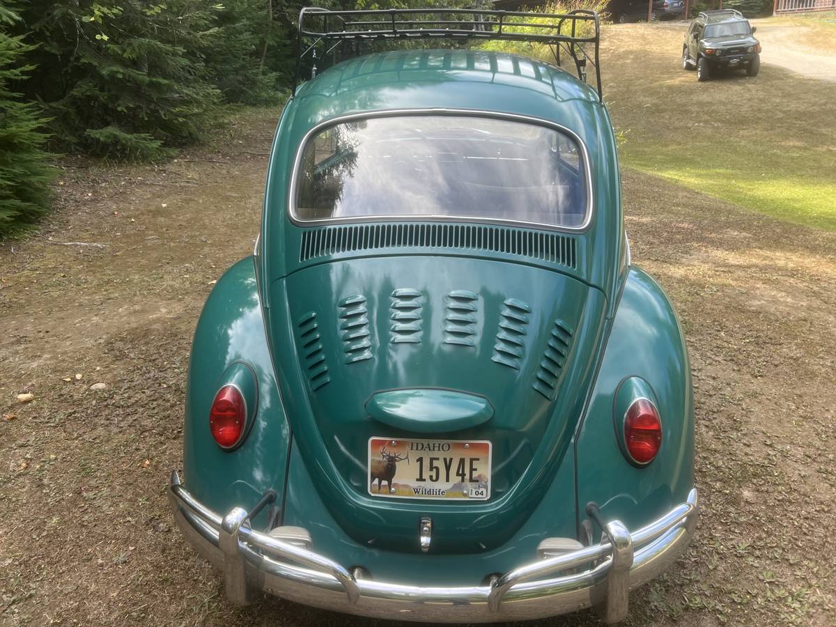 Vw-bug-1967-green-1