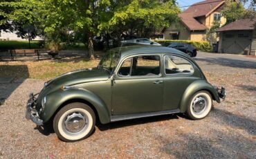 Vw-bug-1967-green-2