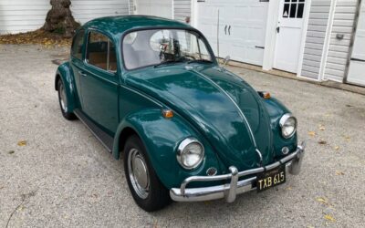Vw bug 1967
