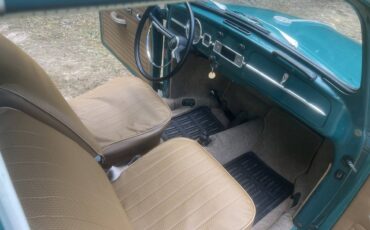 Vw-bug-1967-green-6