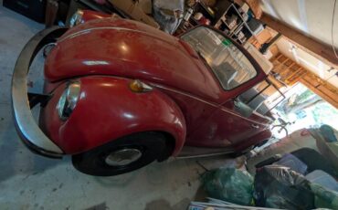 Vw-bug-1968-red-6