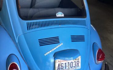 Vw-bug-1969-blue-1