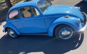 Vw-bug-1969-blue-2