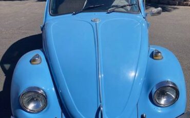Vw-bug-1969-blue