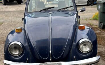Vw-bug-1970-blue-1