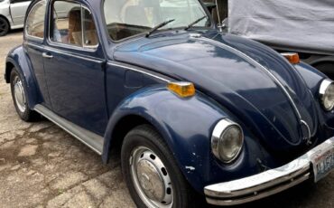 Vw-bug-1970-blue-3