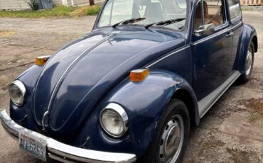 Vw-bug-1970-blue