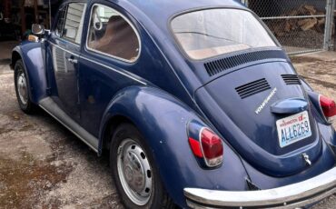 Vw-bug-1970-blue-4