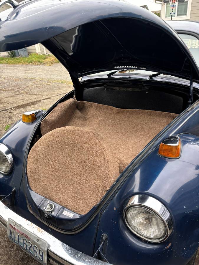 Vw-bug-1970-blue-5