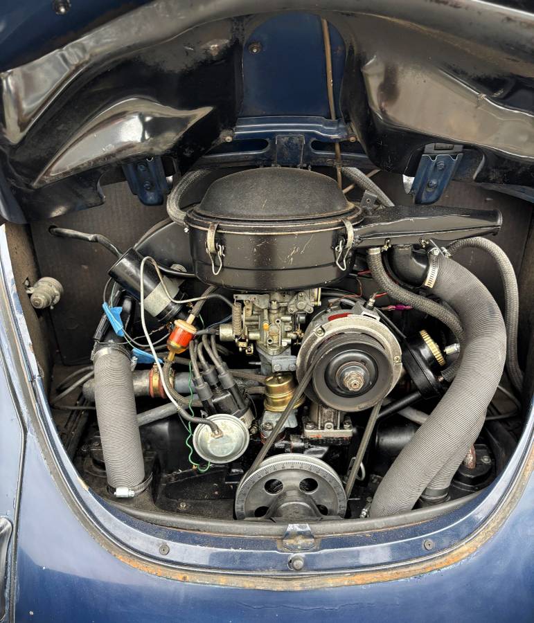 Vw-bug-1970-blue-6