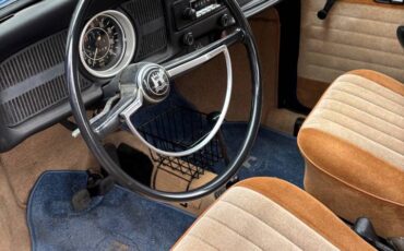 Vw-bug-1970-blue-7