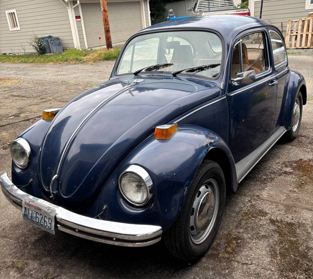 Vw-bug-1970-blue
