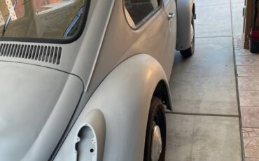 Vw-bug-1970-grey-6