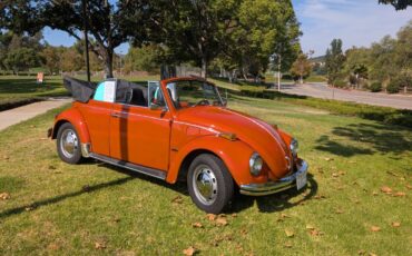 Vw-bug-1970-orange-3